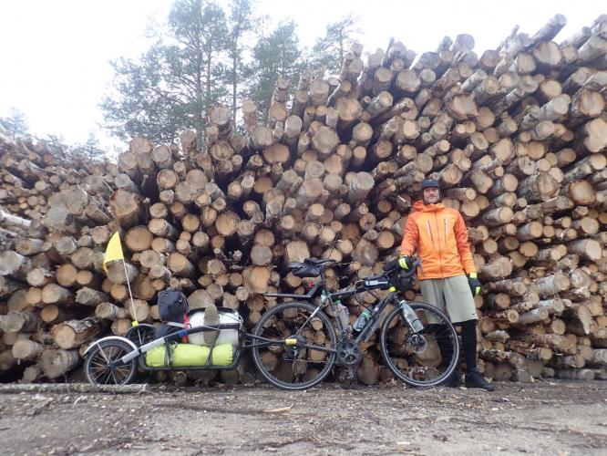 Big pile of logs