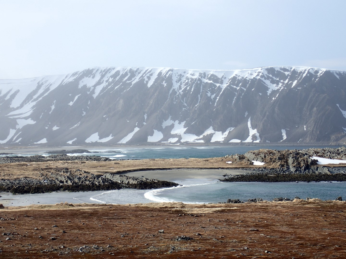 Coastline east of Berlevag