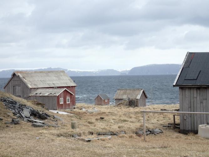 reindeer and abandoned dwellings - Svaerholt