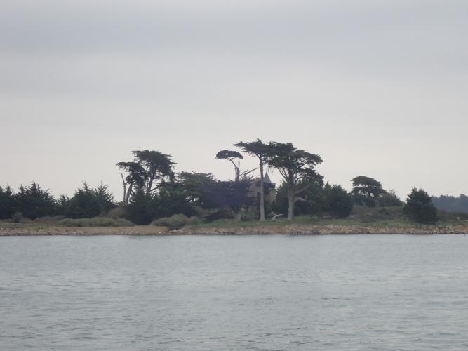 Island in Gulf of Morbihan